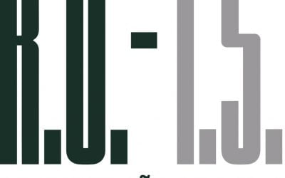 Marca R.U-I.S. Combata a clandestinidade na construção